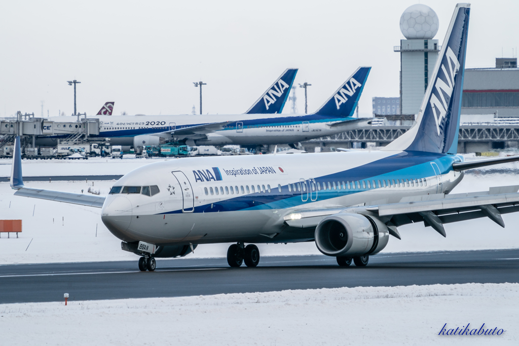 元旦の空港