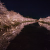 春陽橋からの絶景