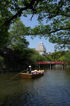 新緑と白鷺