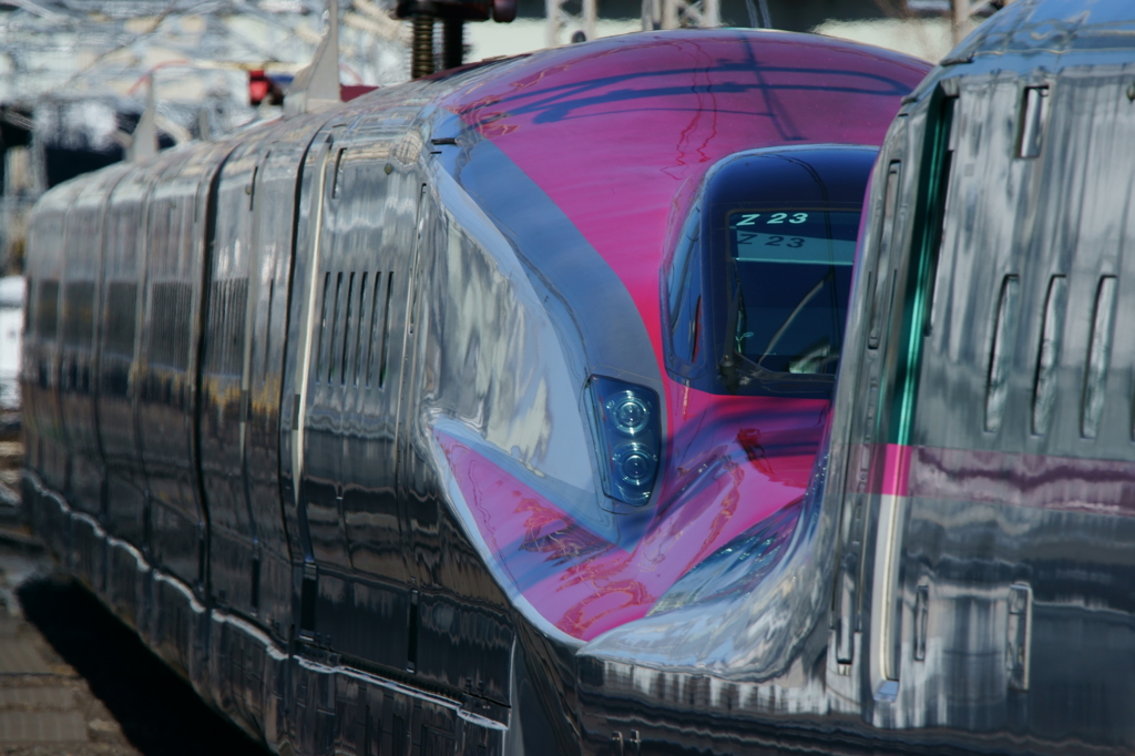 この眼がいいんだな…たぶん(^_^;)