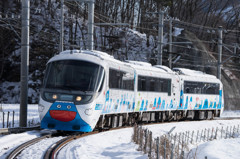 やっぱり雪の方が…