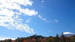 裏山も秋真っ盛り(*^^*)