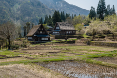 五箇山の春