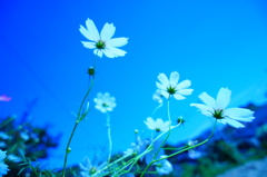 空をおよぐんだ
