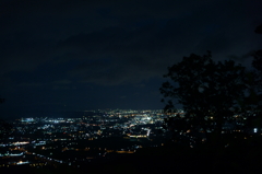 猿投山夜景