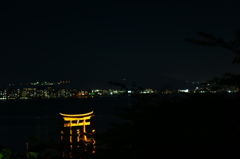 鳥居と夜景②