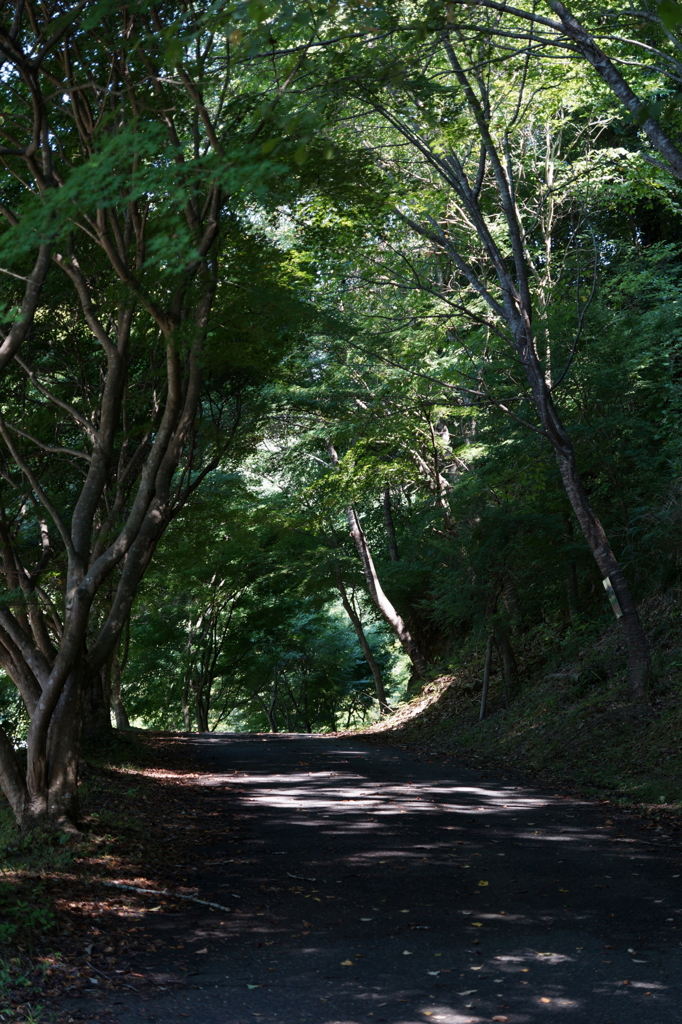 夜勤明けの寄り道④