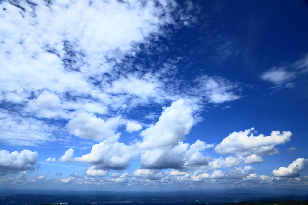 夏空①