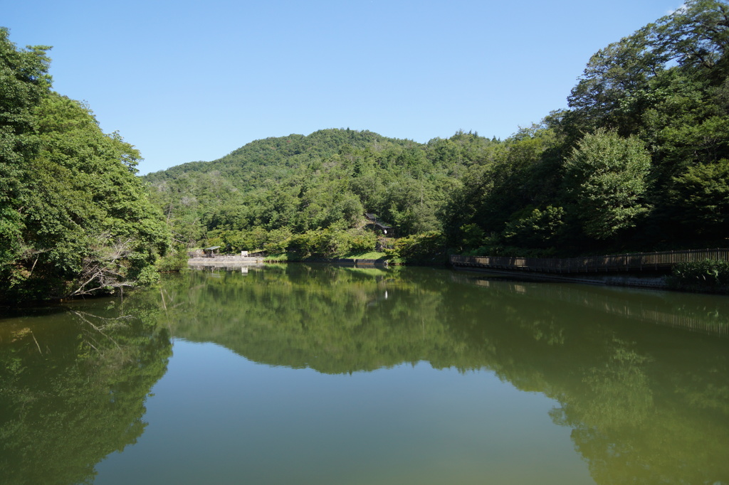 夜勤明けの寄り道③