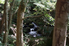 渓谷③