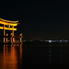 鳥居と夜景①