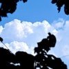 夏空