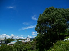 高台より愛を込めて叫ぶwww