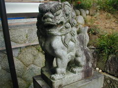 わん
