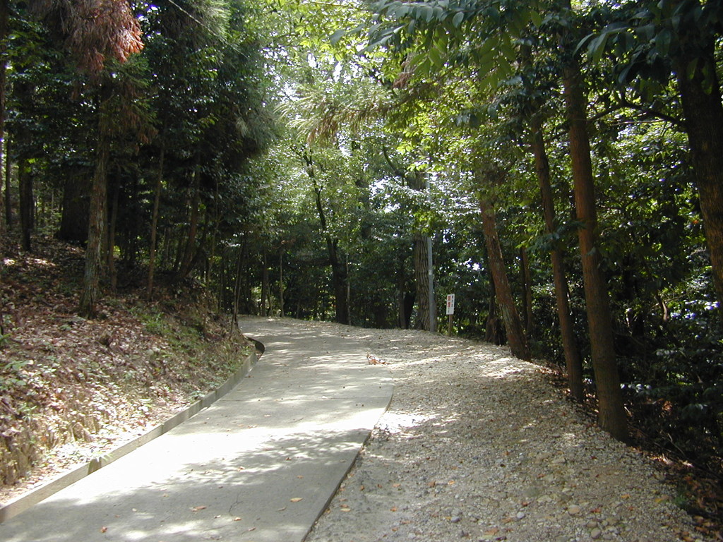 神社の参拝路