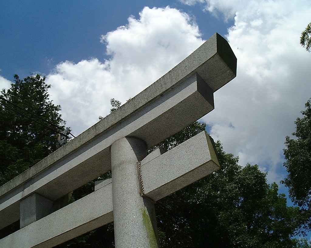 鳥居を俯瞰