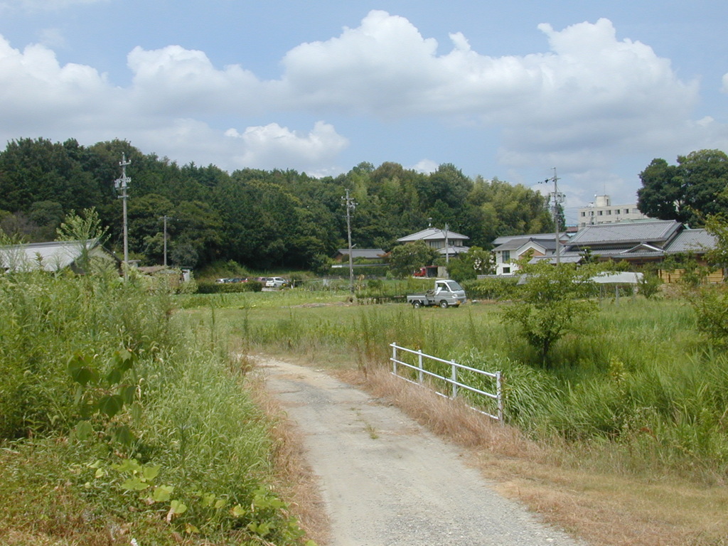 農村の風景