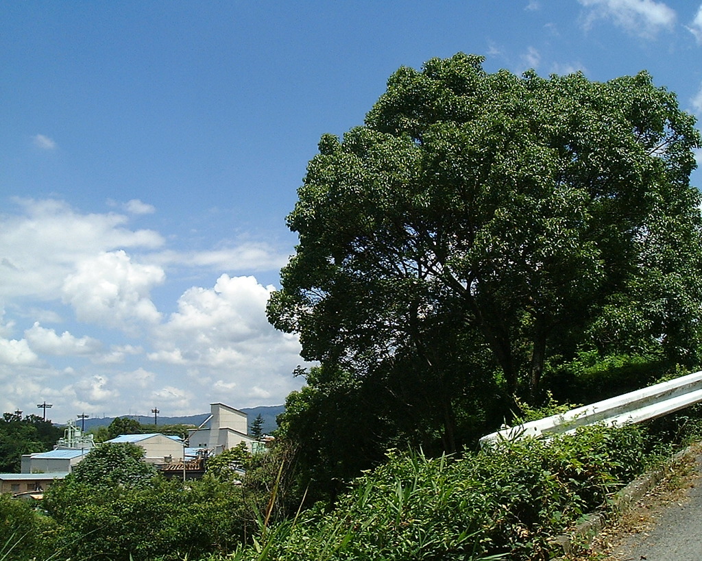 青空