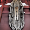 巨人の草履