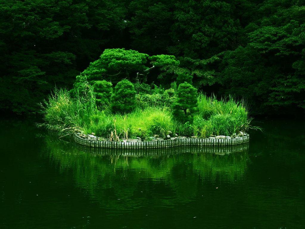 緑景礼賛