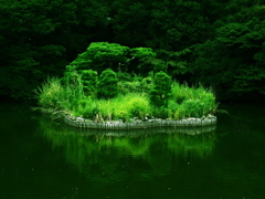 緑景礼賛