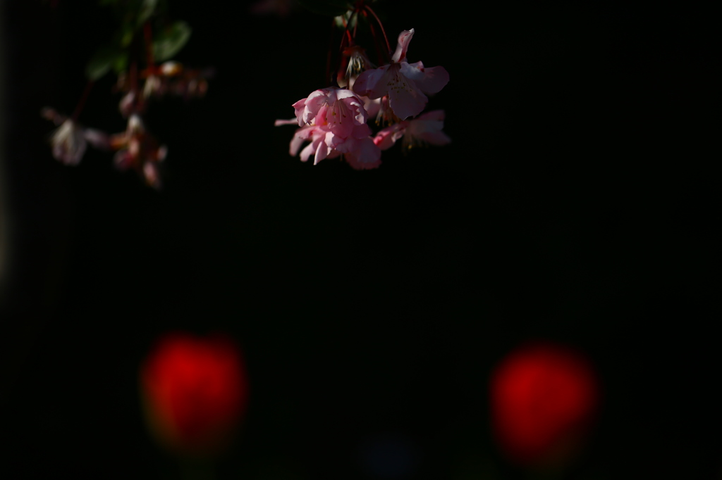 【華三角と余り壱】