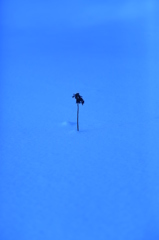 【solitude ～ 雪の思い出】