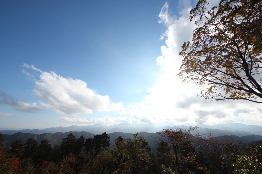 木々山々