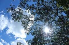 ある晴れた日の青空