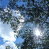 ある晴れた日の青空