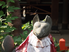 狐の耳飾り