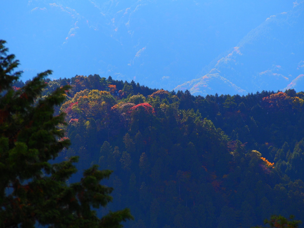秋の山の装い