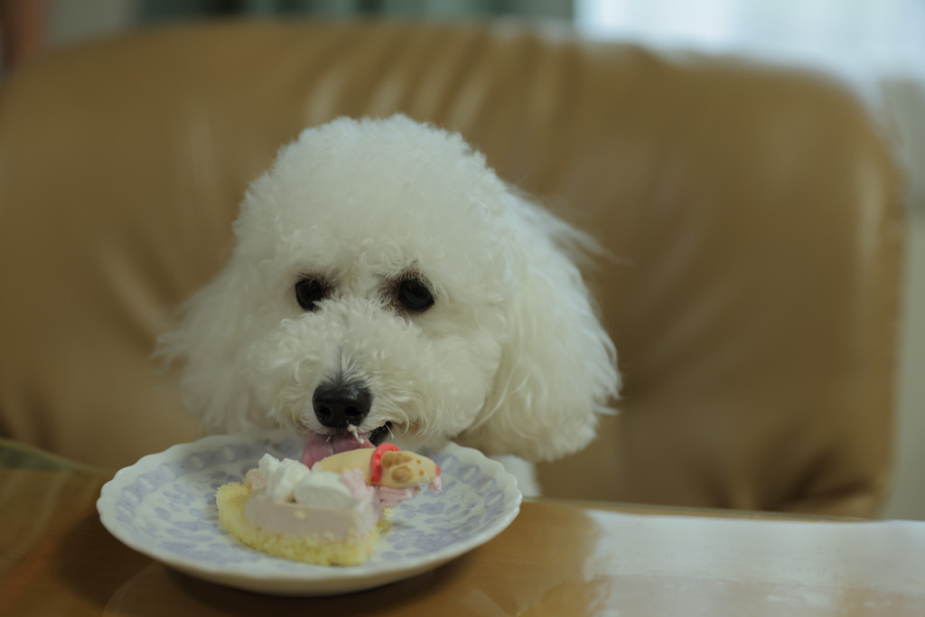 2歳になったよ