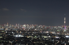 東京&千葉夜景Ⅳ　（東京中心部方面）