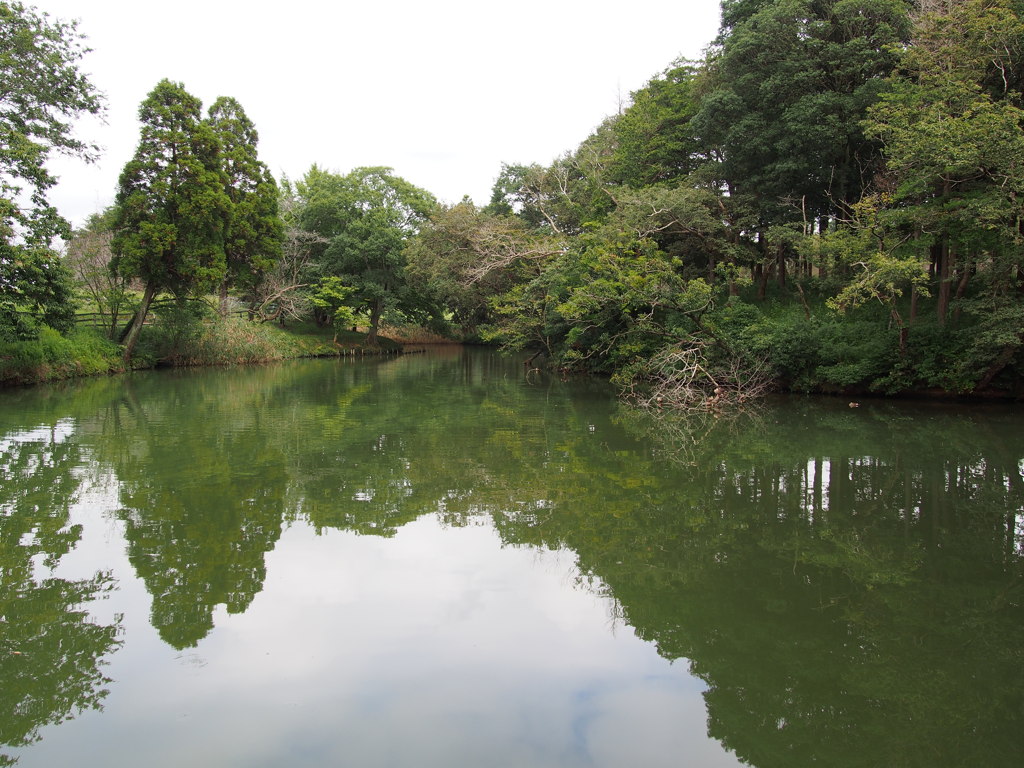Like the United Kingdom forest.