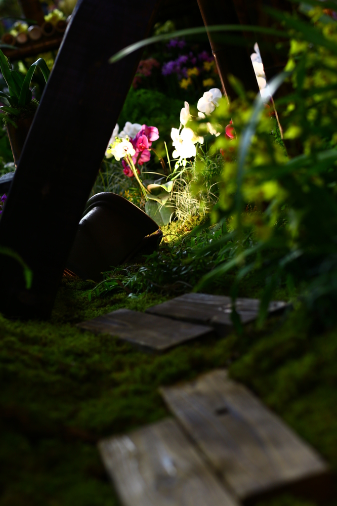 【Alice in wonderland】
