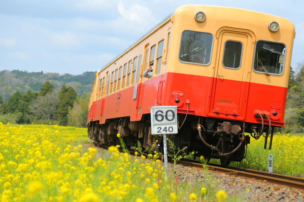 【菜の花鉄道】