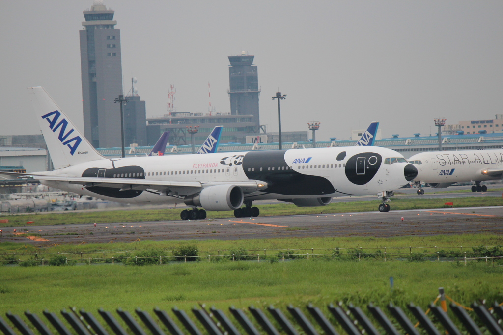 飛びそうなパンダ