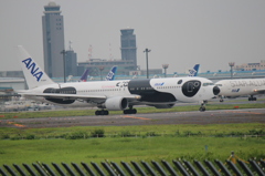 飛びそうなパンダ