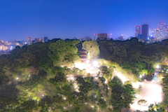 東京雲海