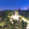 東京雲海