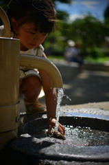 なつのひとこま