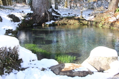 凍てつきそうです。