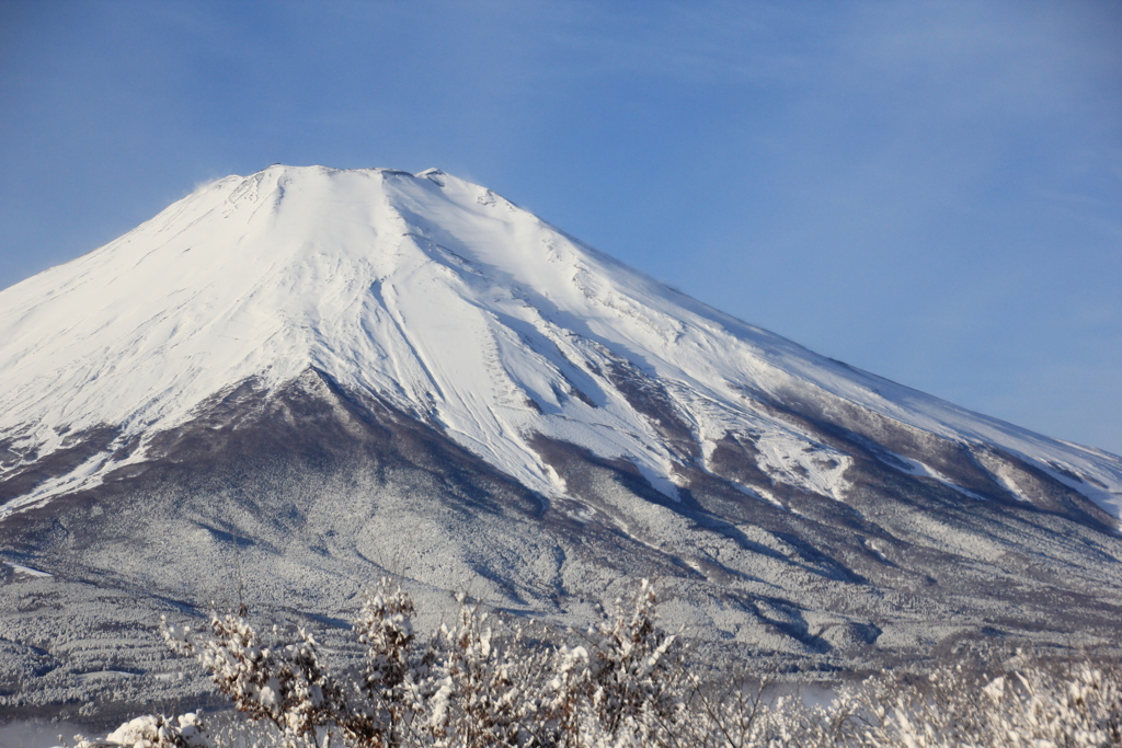 やっと出会えました。
