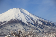 やっと出会えました。