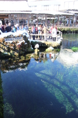 硬貨は投げないで。