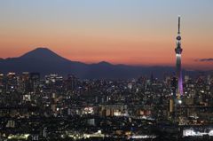 新・日本の夜景
