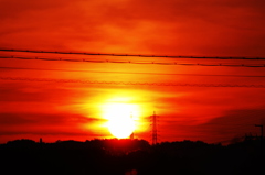 夕日