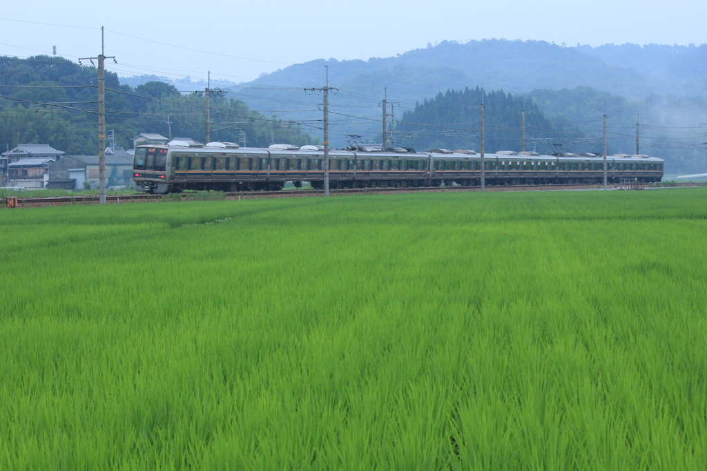 鉄道