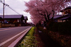 2012/04/08